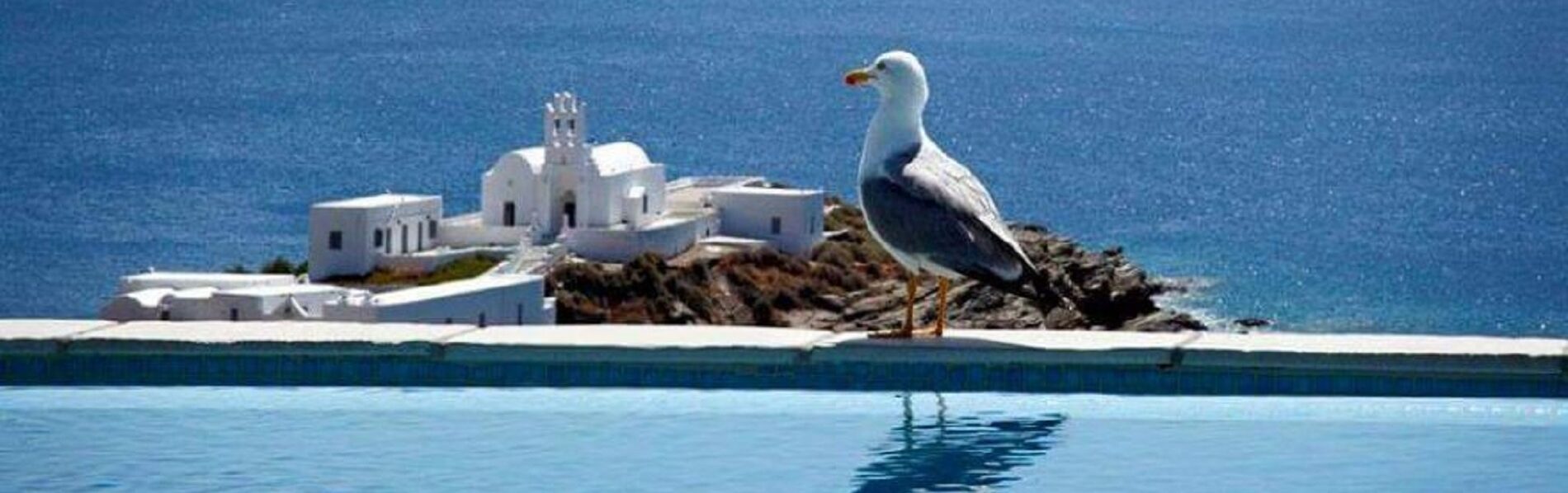 Enjoy the experience